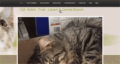 Desktop Screenshot of catactiontrust.co.uk